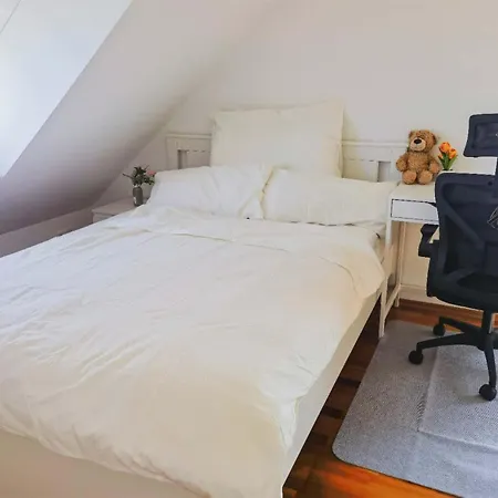 Waldzimmer In Der Stadt Naehe Messe Homestay